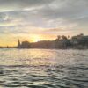 Elephantine island