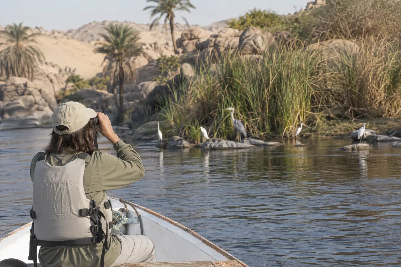 Birdwatching among the Nile islands of Aswan
