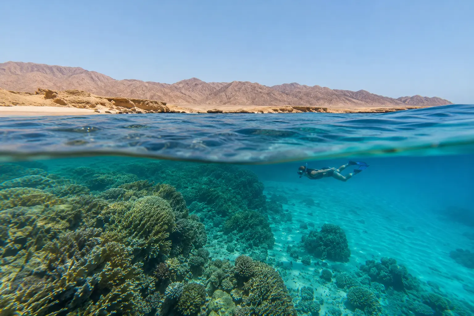 Marsa Alam Red Sea snorkeling and coral reef